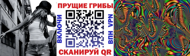 Псилоцибиновые грибы MAGIC MUSHROOMS  купить наркоту  Ленск 